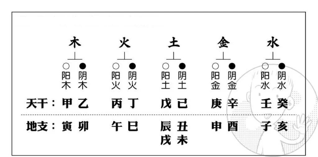 丙火女乙木男图片